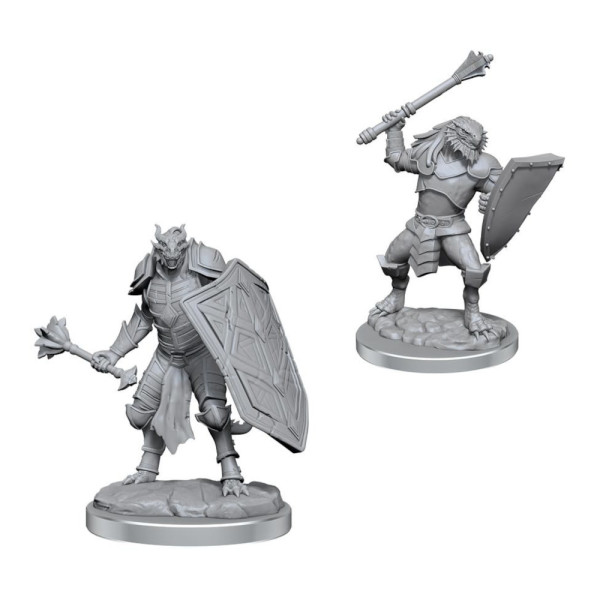 D&D Nolzurs Marvelous Miniatures: Dragonborn Clerics