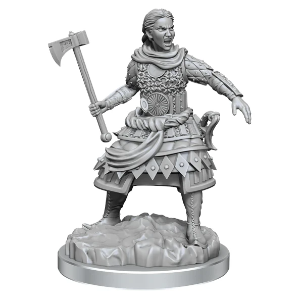 D&D Nolzurs Marvelous Miniatures: Human Fighters