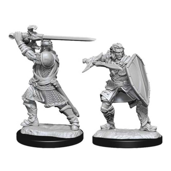 D&D Nolzurs Marvelous Miniatures: Human Paladin Male (Wave 14)